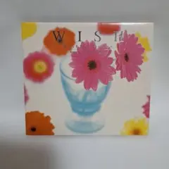 ウィッシュフル・ソングス/α派オルゴール　CD
