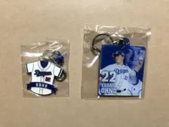 Item thumbnail for item d94d0f5d-678f-45ea-9504-dfd3730816ee