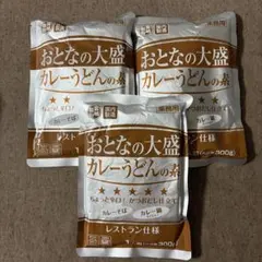 おとなの大盛　カレーうどんの素　3袋のサムネイル