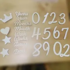 【ケース付】月齢フォト 木製の数字と文字セット