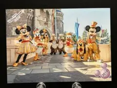TDL ディズニー スペフォ