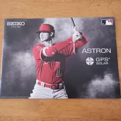 Item thumbnail for item 54da11c0-f48f-45d2-9abe-ffb561669ea5