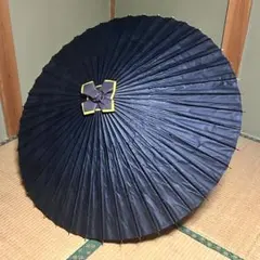 Item thumbnail for item 6f3be9c3-a0ac-4eda-8069-683423e7cc57