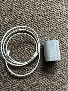 Lightningケーブル 1mとUSB充電器セット