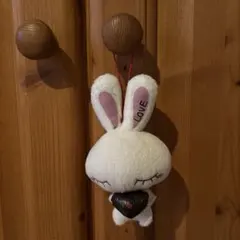 Item thumbnail for item 55aee5fb-13cd-4f60-a277-f8e491084f66