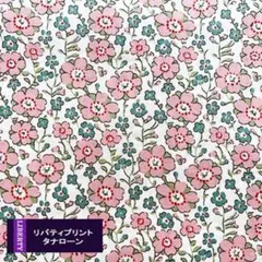 洋蘭 リンカトデンドラム ピクシーバレー ピッコリーナ 世界らん展 洋