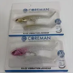 コアマン VJ22 ２個セットのサムネイル