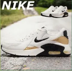 NIKE Air Max ホワイト/ブラック/ゴールド