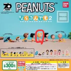 peanutsならぶんです2