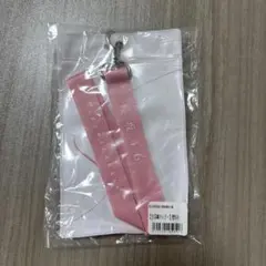 櫻坂46 生写真ホルダー 2023 福袋