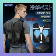 【訳あり】ペルチェベスト 冷却ベスト 空調作業服 10000ｍAh 大容量 新品