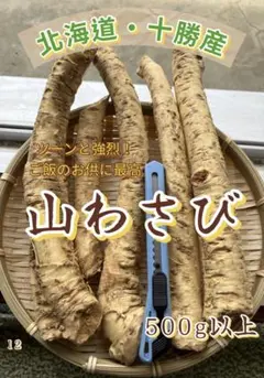 ⑪ 北海道産 天然山わさび 500g以上のサムネイル