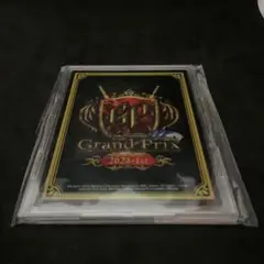 DMGP2023-1st GP特製フルプロテクター　１個