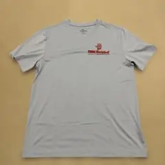 Nike DRI-FIT Tシャツ ライトブルー