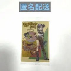 ドラゴンボール イタジャガ ブルマ PSA10 2枚セット 2026年最新】イタジャガ ブルマの人気アイテム - メルカリ