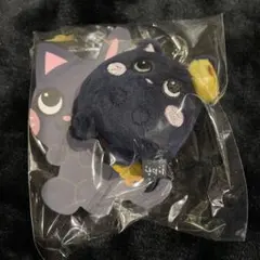 RIIZE ウォンビン トニャンドク ペンライトカバー シュシュセット