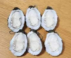 生牡蠣　リアル　キーホルダー　セット