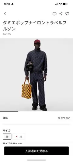 半額以下！Louis Vuitton ダミエポップ ナイロンブルゾンのサムネイル