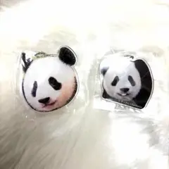 ★シャオシャオレイレイ　　アクリルキーホルダー パンダ自身ガチャ
