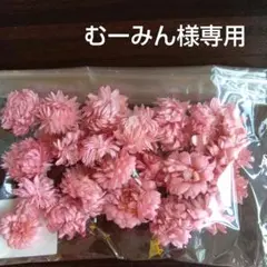 むーみん様専用