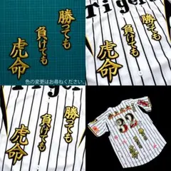 Item thumbnail for item 93b4a927-e023-40fd-bfe3-58ad52bd36ed