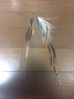 Item thumbnail for item 3a8dd636-5611-4ec0-b35a-bce4569c8bd6