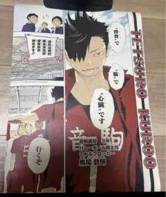 ハイキュー　ポスター
