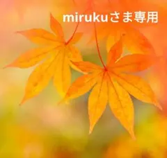 mirukuさま専用ページです。