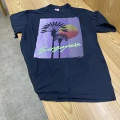 新品 80's 当時物 SUNTORY OLD WHISKY Tシャツ 9号 - メルカリ