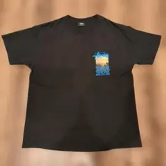 Stussy グラフィック Tシャツ L 黒