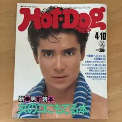 小池栄子 両面ポスター 雑誌HotDogPress ホットドッグプレスの付録