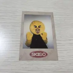 stray kids skzoo フィリックス ポラロイド トレカ ピリ スキズ