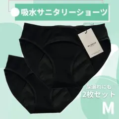 【新品未使用】吸水サニタリーショーツ M ナプキン不要 尿もれ対策 2枚組のサムネイル