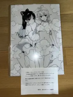 ウィッチウォッチ　２２巻　当選品　着せ替えクリアファイル 新品