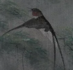 たかちゃん様 リクエスト 3点 まとめ商品