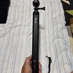 GoPro エルグランデ