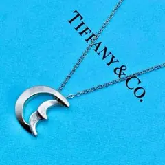 2026年最新】tiffanyクレセントムーンペンダントの人気アイテム - メルカリ