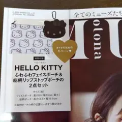 オトナミューズ1月号付録