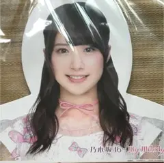 期間限定 元 乃木坂46 衛藤美彩 ハンガー