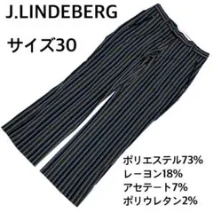 J.LINDEBERG ストライプ メンズパンツ サイズ30