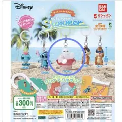 ディズニーめじるしアクセサリーsummer ベイマックス