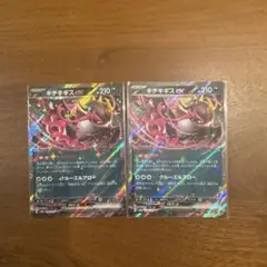 キチギギスex 2枚セット　テラスタルフェス