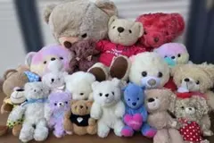 可愛い クマ ぬいぐるみ セット まとめ売り