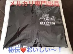 Item thumbnail for item bb5c95fa-d485-4b13-ba29-18ea1a8dd8dc