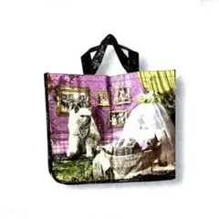 Item thumbnail for item b226e35e-1554-473f-b240-235a92a4a788