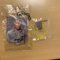 ELLY 三代目 ECHOES OF DUALITY