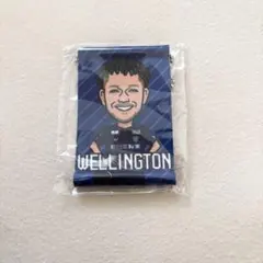 アビスパ福岡　ウェリントン　タペストリー　ガチャガチャ