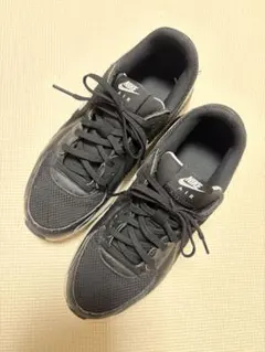 NIKETerra Manta スニーカー 28.0㎝ - メルカリ