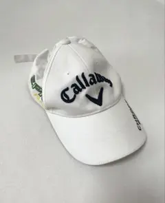 Item thumbnail for item f8be23f7-f2d9-4de9-b8b3-543886d5eb82