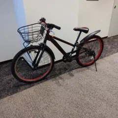 m12496514309_1.jpg?1731396334